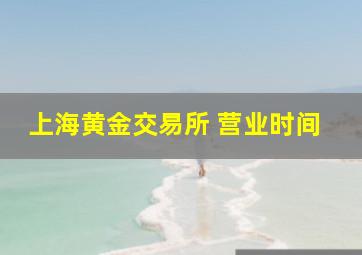 上海黄金交易所 营业时间